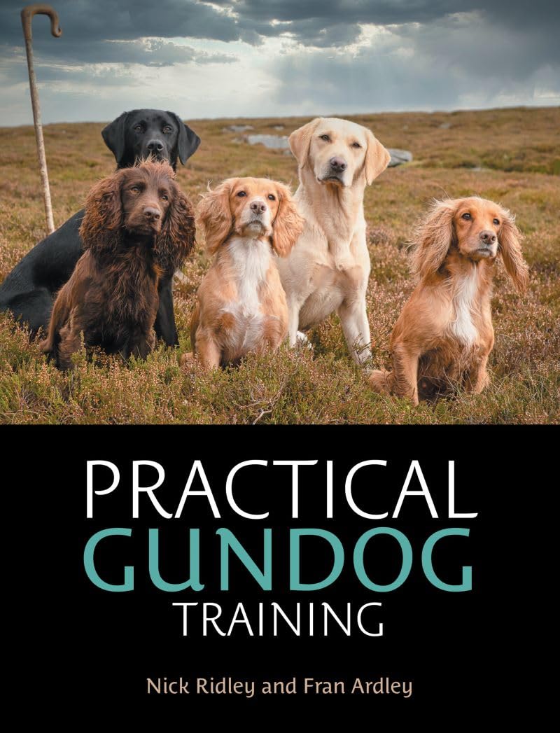 Practical Gundog Training 3 Practical Gundog Training