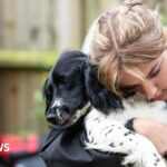 Pups start work with UN forces after mum vanishes