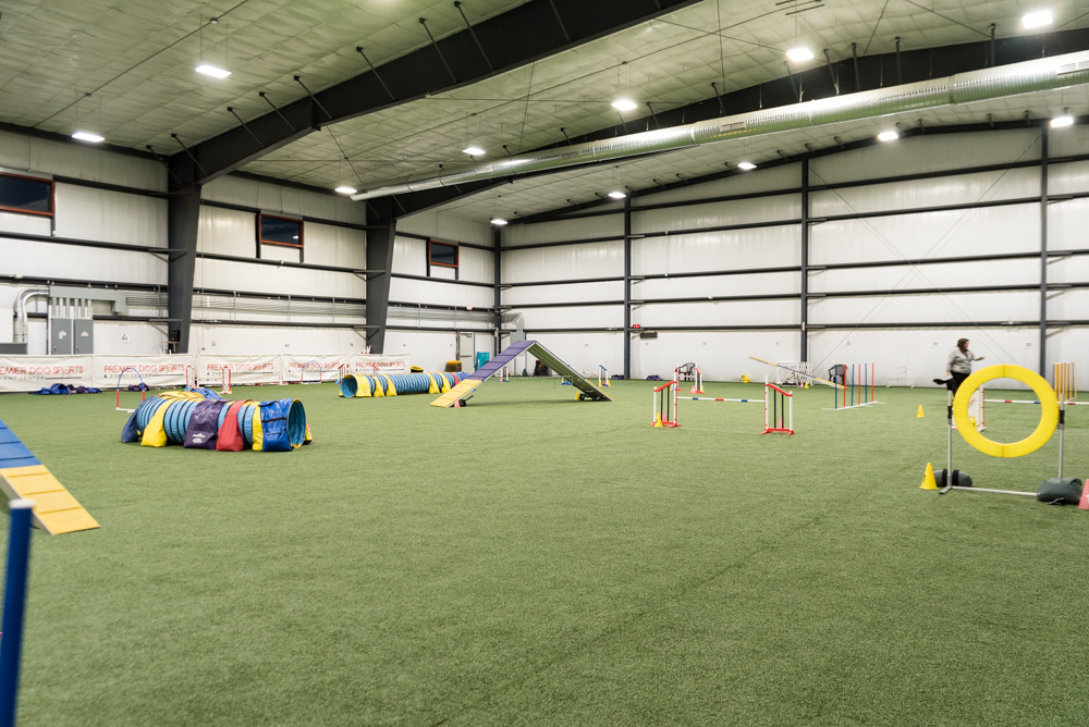 With a 4.9 Rating — This Dog Training Center is as Legit as it Gets