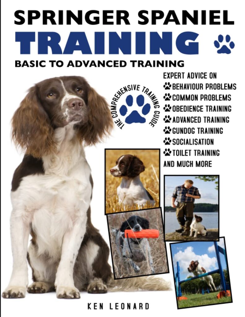 SPRINGER SPANIEL TRAINING BASIC TO ADVANCED Easy Spaniel Training