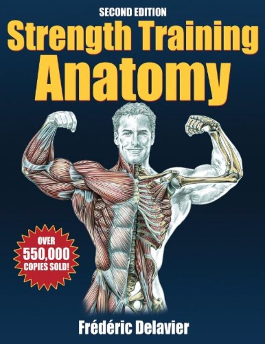 Strength Training Anatomy 2 3 Strength Training Anatomy 2