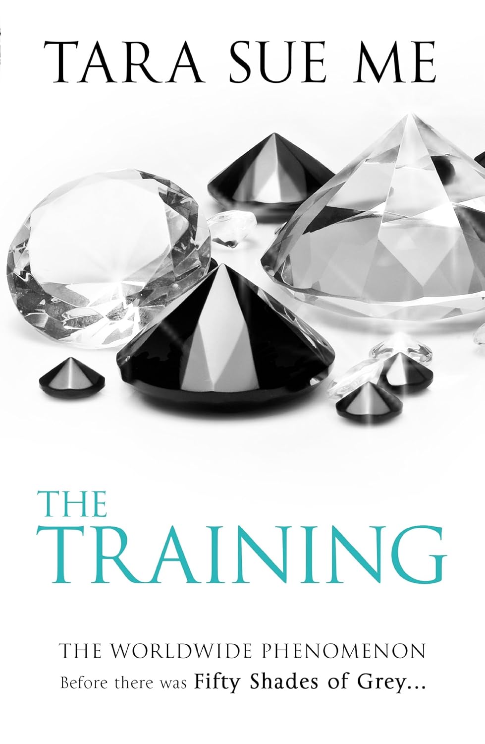 The Training: Submissive 3 (The Submissive Series)