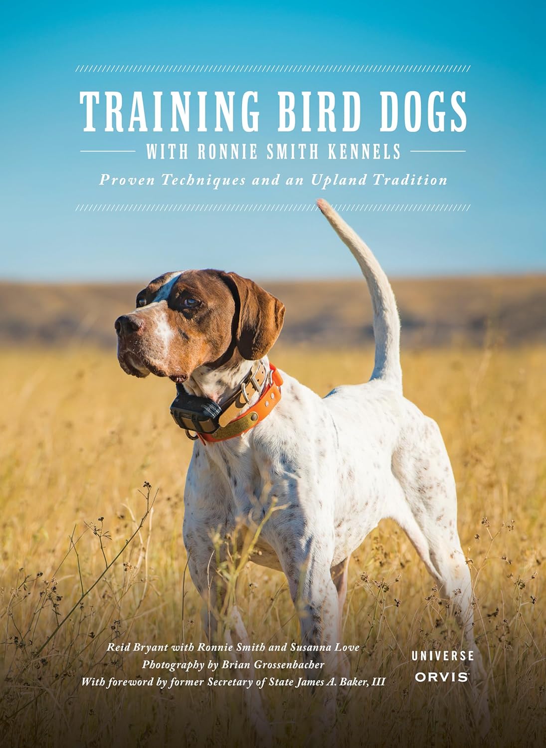 Training Bird Dogs with Ronnie Smith Kennels:...