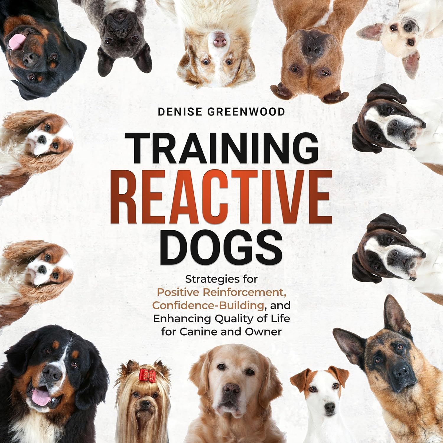 Training Reactive Dogs: Strategies for Positive... 3 Training Reactive Dogs: Strategies for Positive...