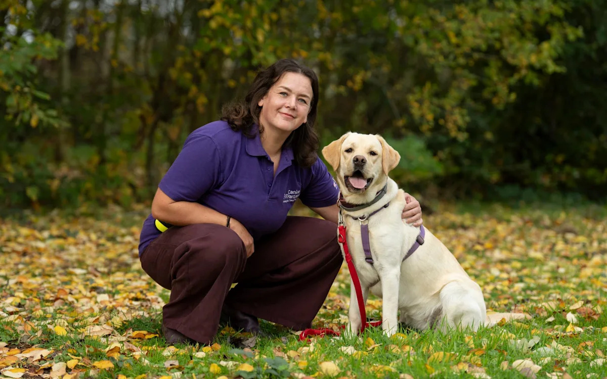 How to turn a naughty pup into a nice dog 4 How to turn a naughty pup into a nice dog