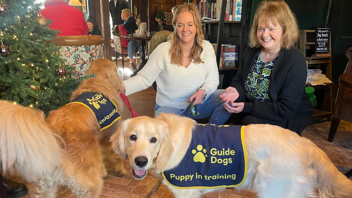 Pups in pubs key to guide dog training scheme