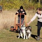 Ever thought of ‘mushing’ with your dog? Local experts are ready to train you.