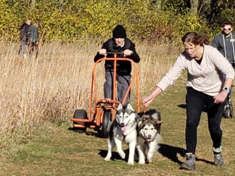 Ever thought of 'mushing' with your dog? Local experts are ready to train you.