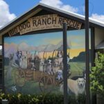 Big Dog Ranch Rescue unveils expanded service dog facility on Veteran’s Day