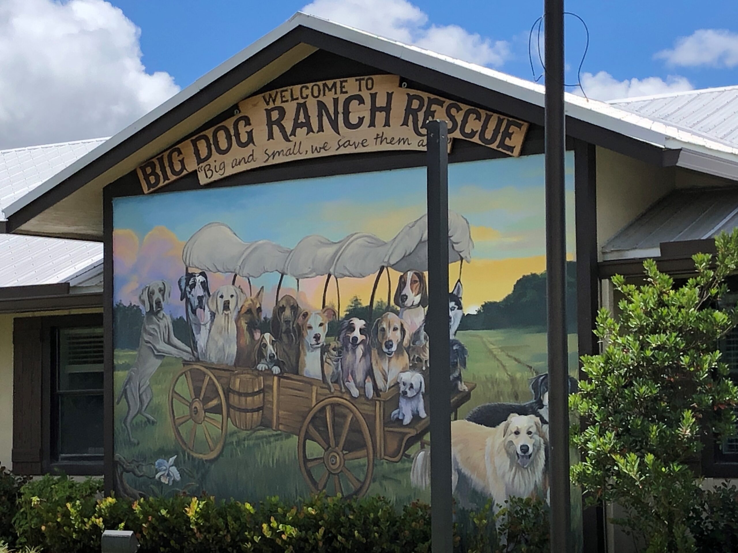 Big Dog Ranch Rescue unveils expanded service dog facility on Veteran’s Day