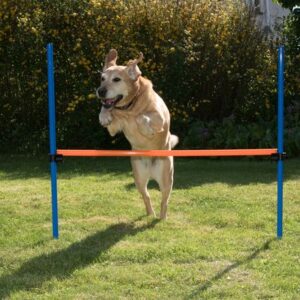 Fun & Sport Dog Agility Hurdle | zooplus.co.uk
