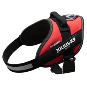 JULIUS-K9 IDC® Power Harness - Red | zooplus.co.uk