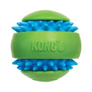 KONG Squeezz® Goomz Ball | zooplus.co.uk