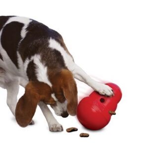 KONG Wobbler Dog Toy | zooplus.co.uk