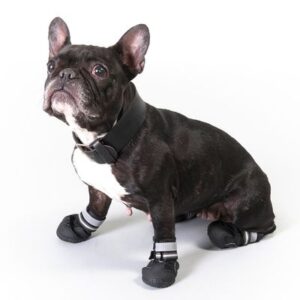 Sports & Protective Dog Boots | zooplus.co.uk