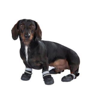 Sports & Protective Dog Boots | zooplus.co.uk