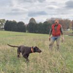 Butler family touts the benefits of field training their dogs – Butler Eagle