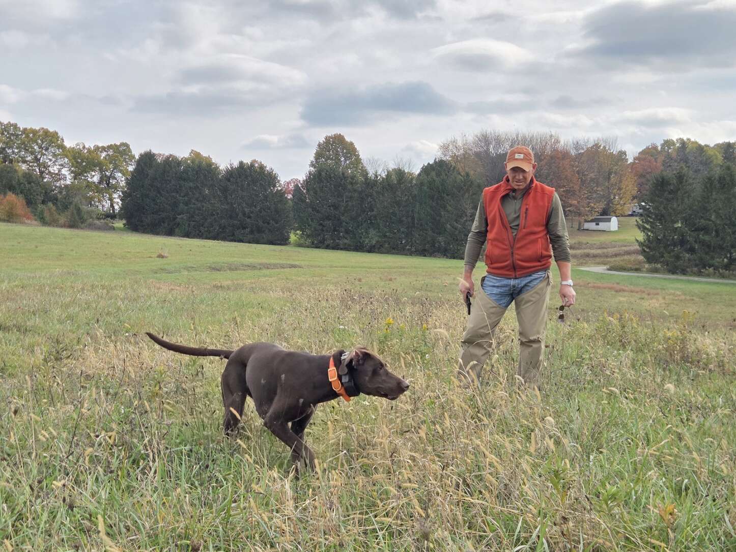 Butler family touts the benefits of field training their dogs – Butler Eagle