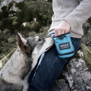 Wolf of Wilderness Dog Snack Bag | zooplus.co.uk