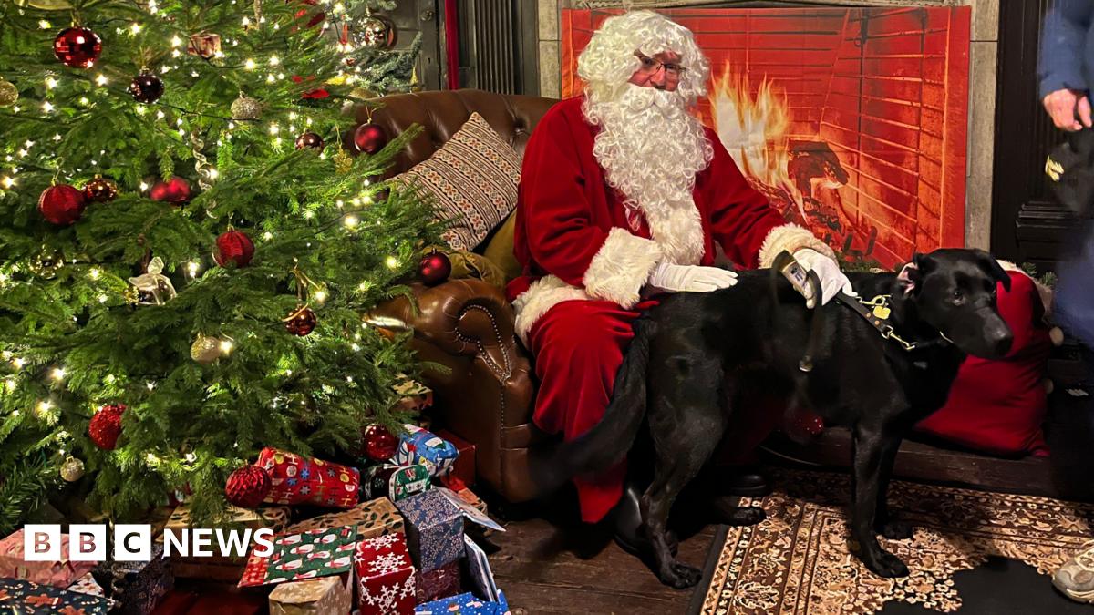 Santa helps guide dog puppies socialise at Delapré Abbey 19 Santa helps guide dog puppies socialise at Delapré Abbey