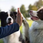 ‘I’m a professional dog trainer and these 5 breeds are more likely to bite’
