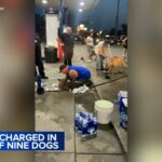 F.M. K9 owner Michael McHenry found not guilty of animal cruelty after 9 overheated dogs in truck die in Lake Station, Indiana