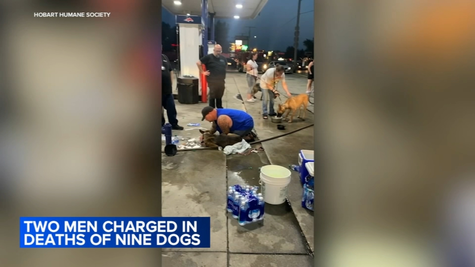 F.M. K9 owner Michael McHenry found not guilty of animal cruelty after 9 overheated dogs in truck die in Lake Station, Indiana