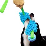 DINGO Floatable Tug Toy with a Flavoured Ball and…