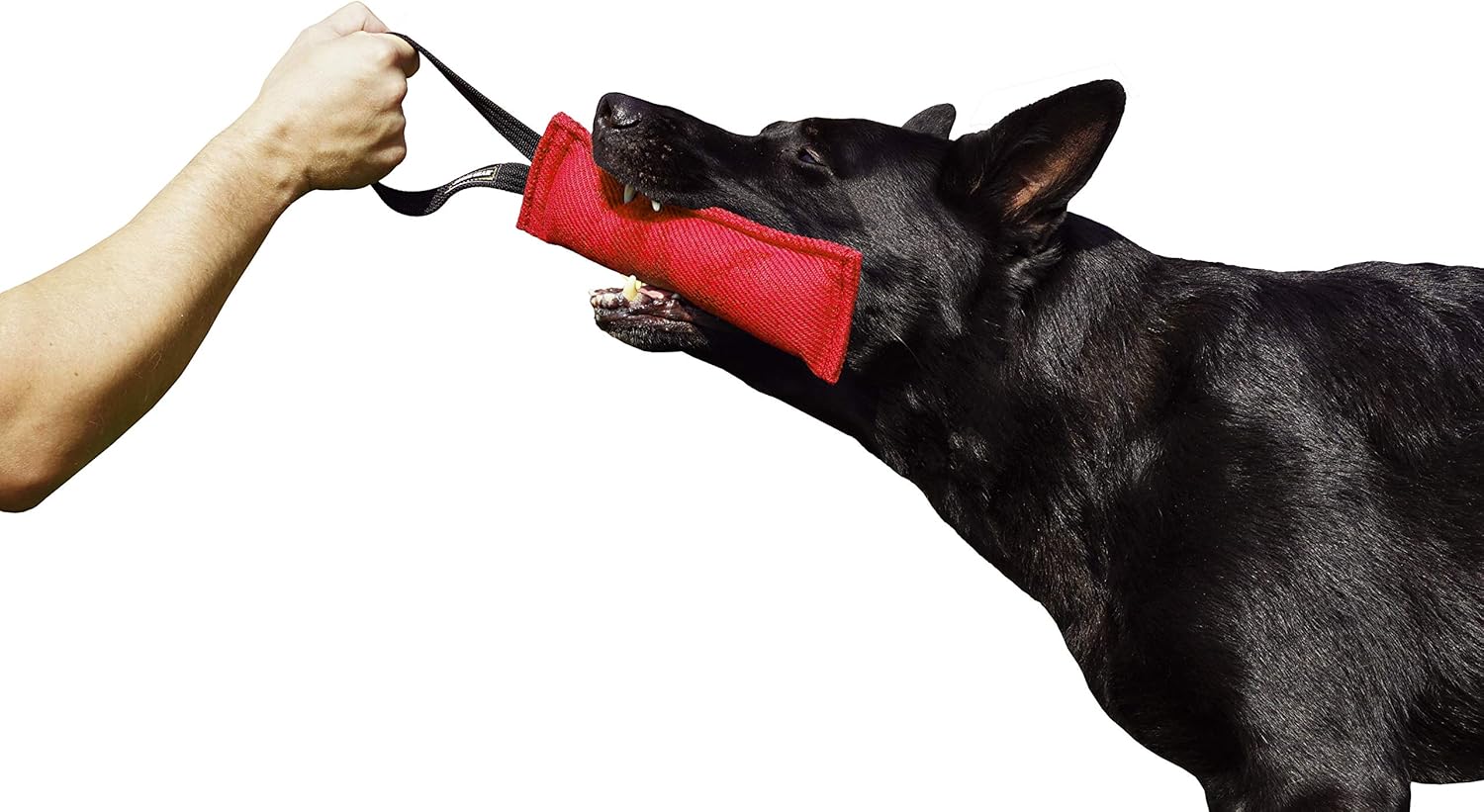 DINGO GEAR Nylcot Bite Tug for Dog Training K9 IGP...