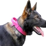 DINGO GEAR Drago Leather Dog Collar, Amortized…