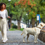 Why Dogs Stop Every 10 Feet on Walks · Kinship
