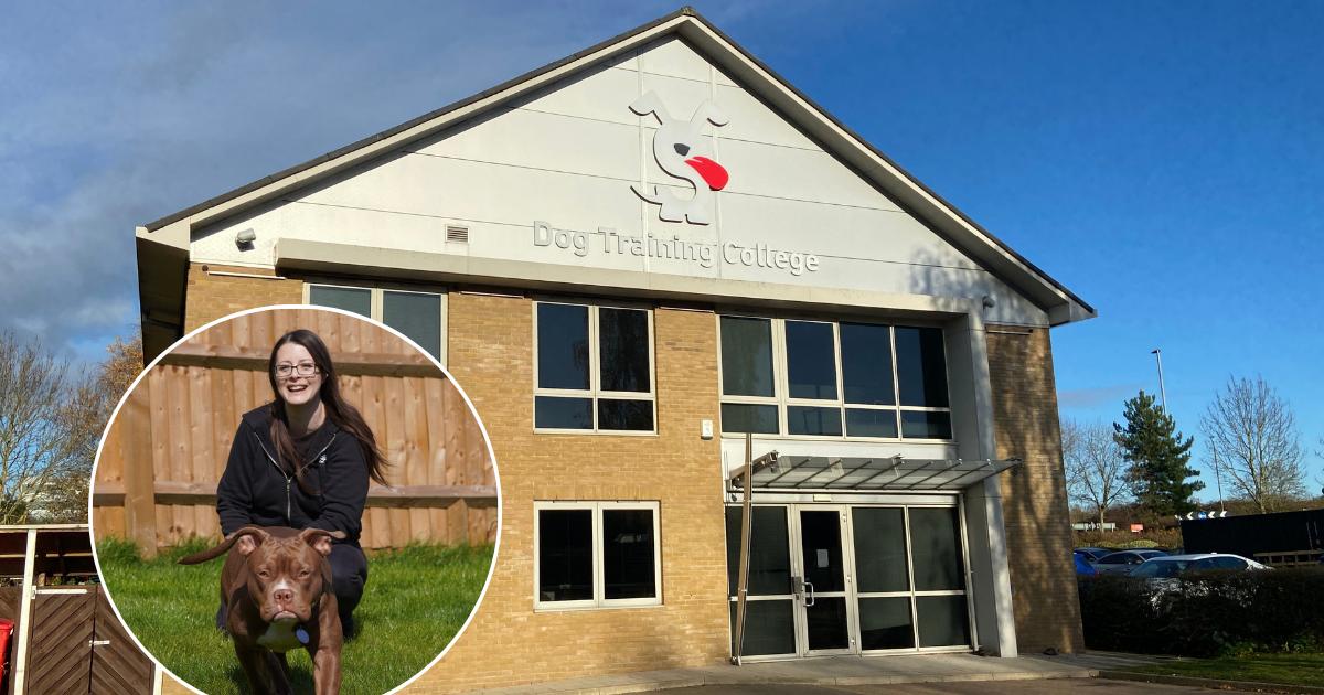 Dog Training College charging £2k for courses closes