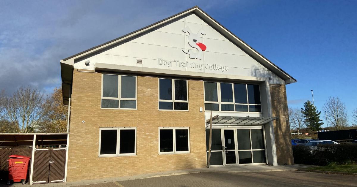 Dog Training College enters liquidation after £181k losses