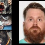 Former LE Officer & Local Dog Trainer Charged Felony Animal Cruelty