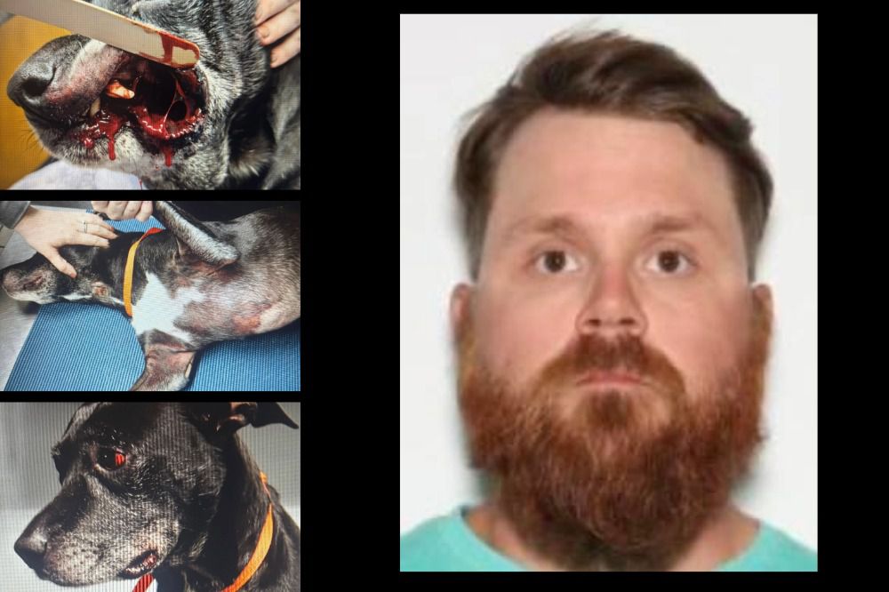 Former LE Officer & Local Dog Trainer Charged Felony Animal Cruelty