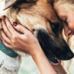 Dog trainer says ‘king’ of dog breeds makes the best companion