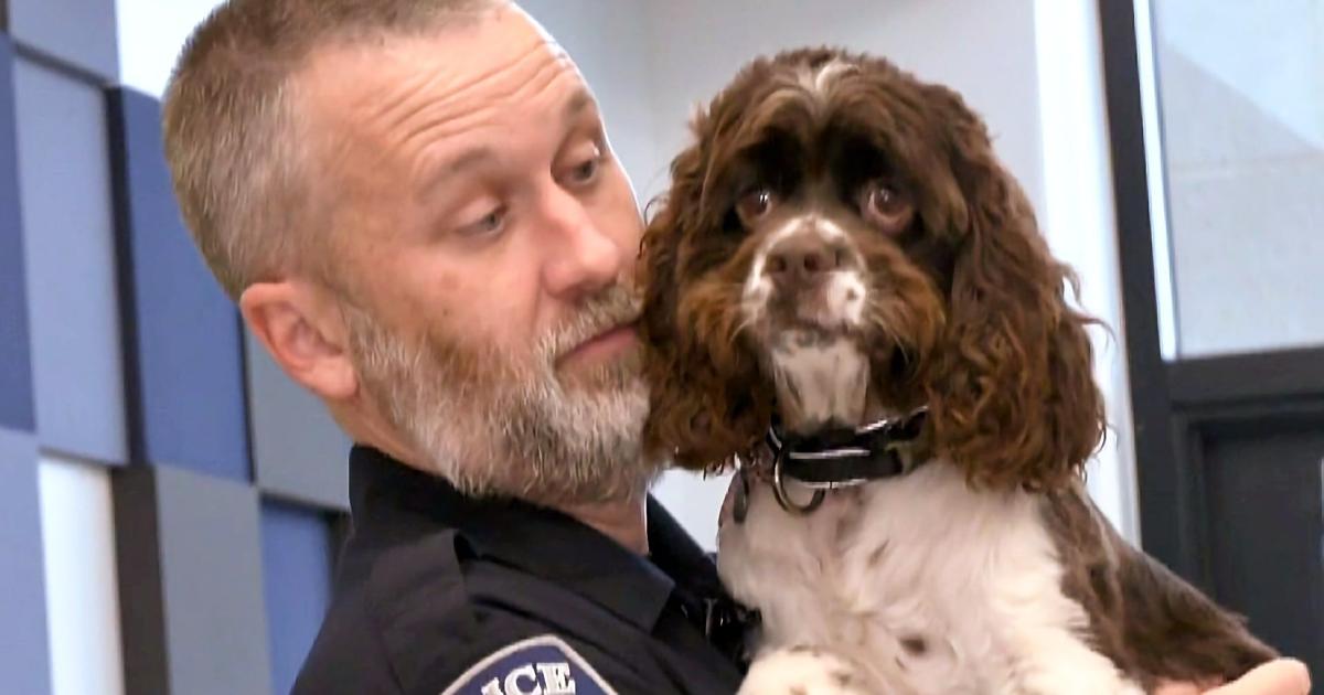 First Responder Fridays: Sherman PD's emotional support dog in training | Texas Headlines
