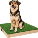 Dog Training Platform for Large Dogs, Place Boards…
