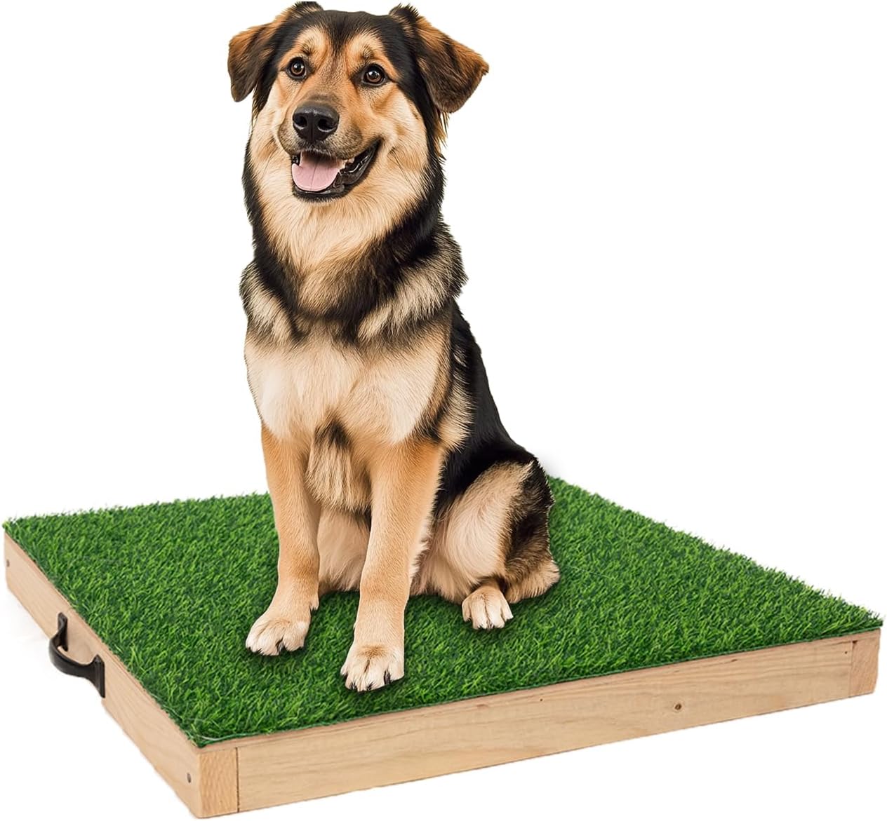 Dog Training Platform for Large Dogs, Place Boards...
