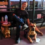 Nick’s Dog Training Unveils Guarantee to Make Your Dog Listen with Obedience and Behavioral Training Across Northeast Ohio