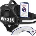 Service Dog Vest With Hook and Loop Straps and…