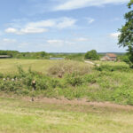 Dog park plan put before council | Local News | News | Dorchester Nub News