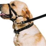 Ancol Weatherproof Nylon Dog Training Halter Head…