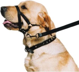 Ancol Weatherproof Nylon Dog Training Halter Head... 3 Ancol Weatherproof Nylon Dog Training Halter Head...