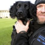Cocker spaniel abused by owner now training to become police dog