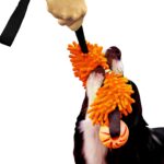 DINGO Floatable Tug Toy with a Flavoured Ball and…