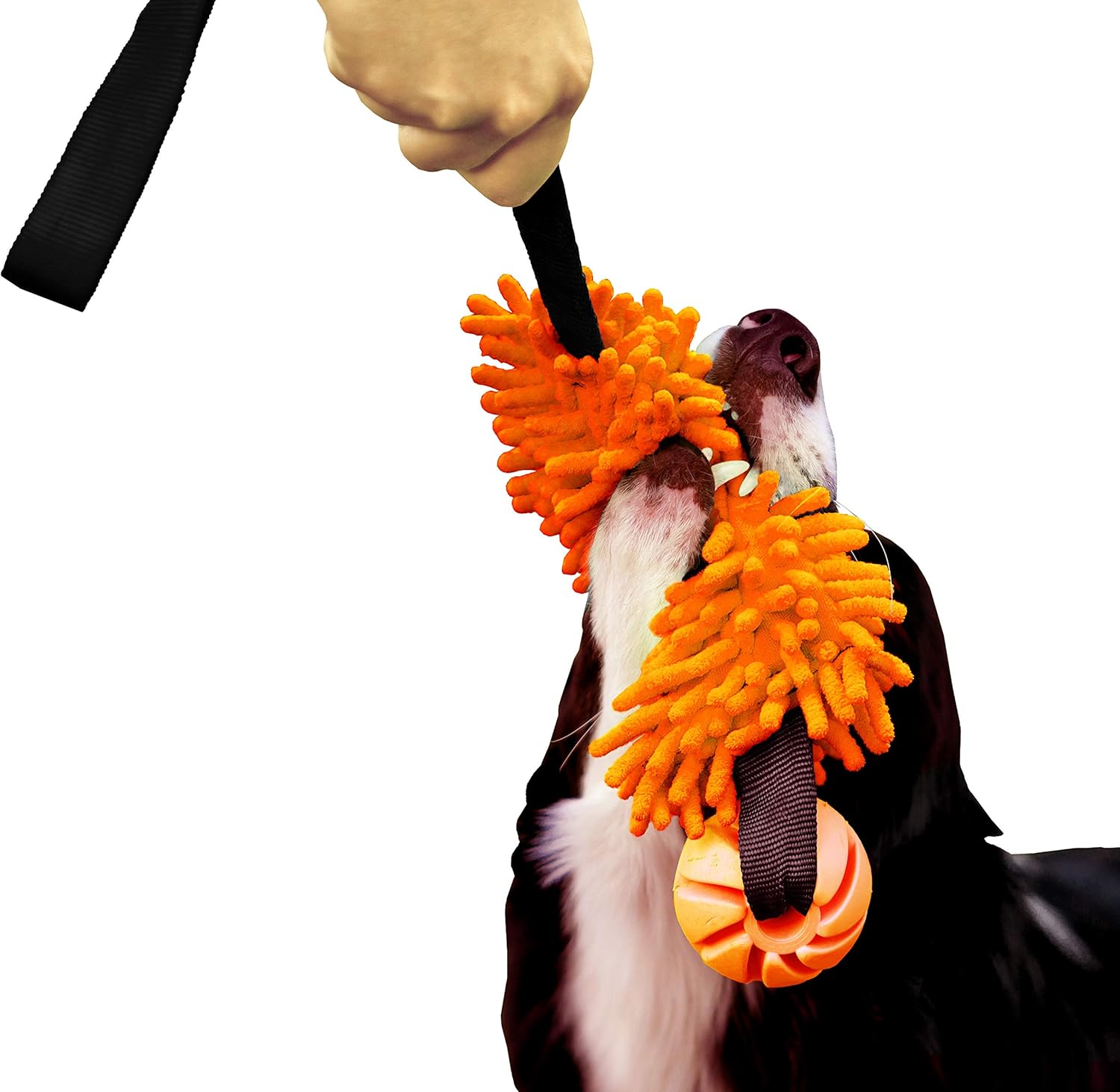 DINGO Floatable Tug Toy with a Flavoured Ball and...