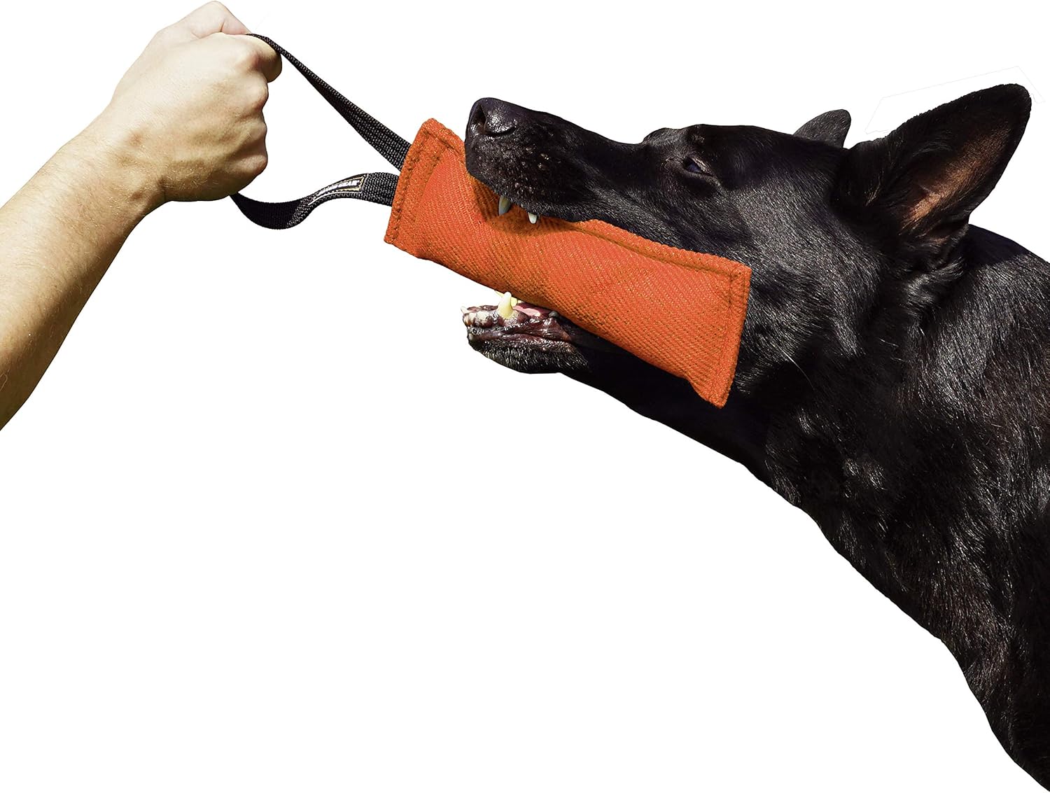 DINGO GEAR Nylcot Bite Tug for Dog Training K9 IGP...