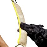 DINGO Jute Tug Toy Reinforced 2 Handles Pull Rope…