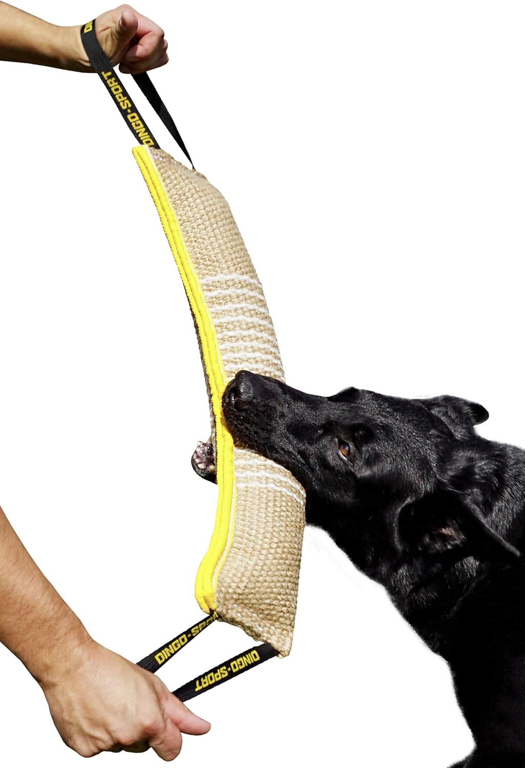 DINGO Jute Tug Toy Reinforced 2 Handles Pull Rope... 17 DINGO Jute Tug Toy Reinforced 2 Handles Pull Rope...